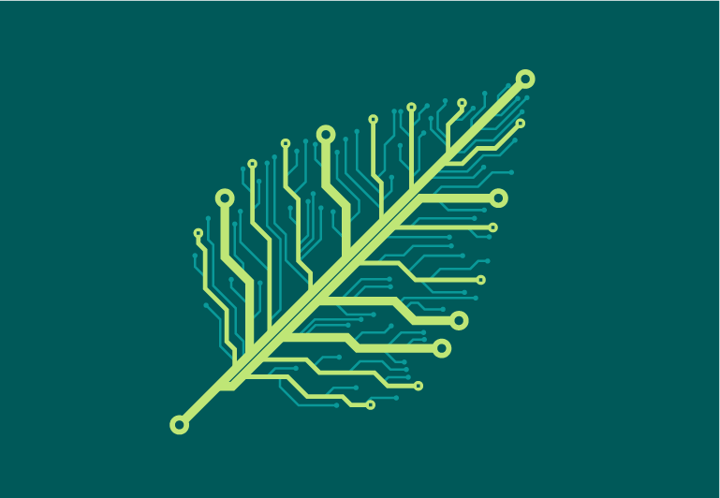 Green Bytes: Sustainability in AI